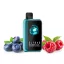 ELF BAR BC20000 Touch - Blueberry Raspberry 5% - Rechargeable