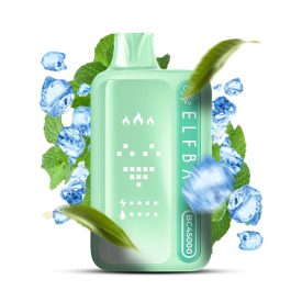 ELF BAR BC45000 - Double Mint 5%