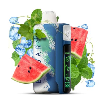 ELF BAR Nic King 30000 - Chilly River 5%