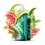 ELF BAR Nic King 30000 - Grapefruit Green Tea 5%