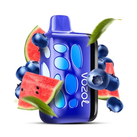 VOZOL RAVE 40000 - Blueberry Watermelon 5%