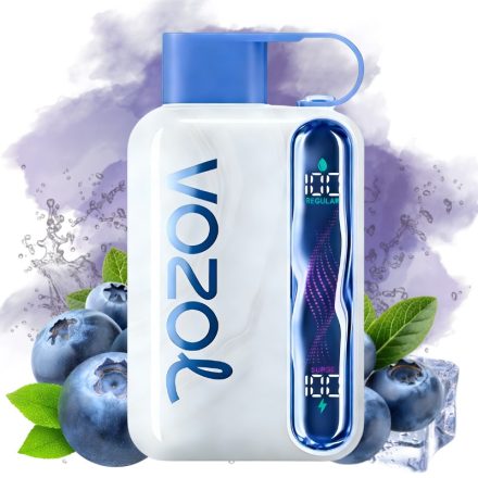 VOZOL STAR 40000 - Blueberry Ice 5%