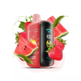 ELF BAR RAYA D3 25000 Strawberry Watermelon 5% puff, sigaretta elettronica usa e getta