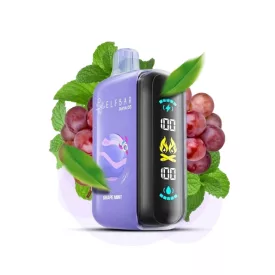 ELF BAR RAYA D3 25000 Grape Mint 5% puff, sigaretta elettronica usa e getta